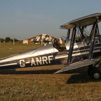 Тайгер мот (Тигровая бабочка) :: Сергей Воротников Тайгер мот (Тигровая бабочка) :: Сергей Воротников