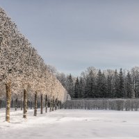 Про Питер :: Владимир Колесников Про Питер :: Владимир Колесников