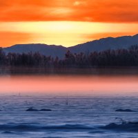 ... :: Жора Житников ... :: Жора Житников