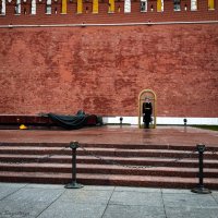 Караул :: Larisa Kuznetsova Караул :: Larisa Kuznetsova