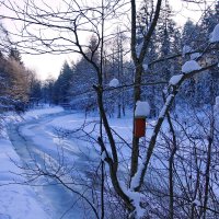"Чародейкою зимою околдован лес стоит" :: Ирэн "Чародейкою зимою околдован лес стоит" :: Ирэн