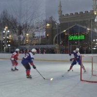 В пустые ворота заключительный гол. :: Наталья Вязигина