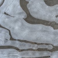 Вода и воздух :: Ольга Савельева Вода и воздух :: Ольга Савельева