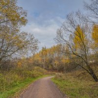 Тропинками осени... :: Владимир Жданов Тропинками осени... :: Владимир Жданов