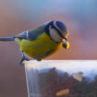 Дело к вечеру идёт, надо подкрепиться ! :: Юрий Куликов