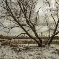 Город уже за рекой. :: Николай 