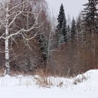 Пришла зима :: Лека 