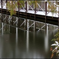 Тонкий лед :: Сергей Премонишын Тонкий лед :: Сергей Премонишын