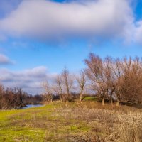 Волго-Ахтубинская пойма. Декабрь 2025 :: Олег Дорошенко Волго-Ахтубинская пойма. Декабрь 2025 :: Олег Дорошенко
