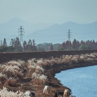 Китайская сельская местность :: Дмитрий Китайская сельская местность :: Дмитрий