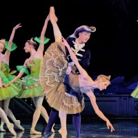 Сцена из балета "Спящая красавица" :: Валерий Судачок