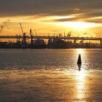 Питер :: skijumper Иванов