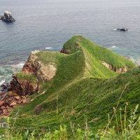 На хребте слона :: Игорь Сарапулов