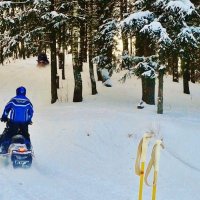 лес  снег гонки :: Владимир 