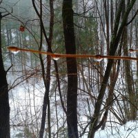 потеплело :: Владимир 