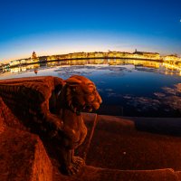 Грифон :: Олег Загорулько Грифон :: Олег Загорулько