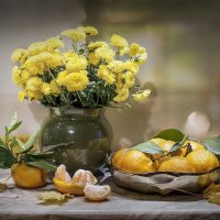 Хризантемы и мандарины. :: Bosanat Хризантемы и мандарины. :: Bosanat