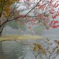 Утро :: **** vedin Утро :: **** vedin