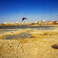 Актау :: Анатолий Чикчирный Актау :: Анатолий Чикчирный