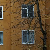 1125 :: Николай Семёнов 1125 :: Николай Семёнов