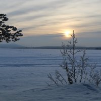 Пинозеро :: Ольга Пинозеро :: Ольга