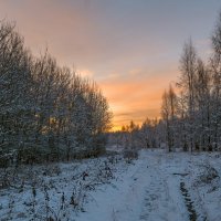 Ранним утром :: Сергей Цветков Ранним утром :: Сергей Цветков