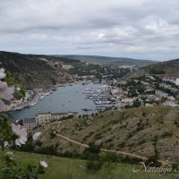 Природа Крыма :: Amazing Cosmea