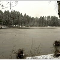 Зима вернулась на часок.... :: Aleksandr Gal