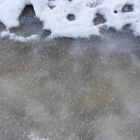 так приходит весна :: Елена Шаламова