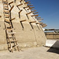 * :: Светлана Воробьева