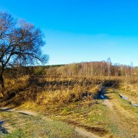 Две дороги рыбаков (берег Днепра). :: Милешкин Владимир Алексеевич 