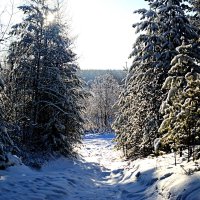 *** :: Александр *** :: Александр