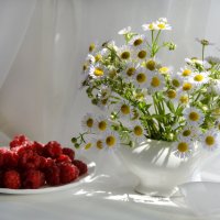 Летнее лакомство.... :: Надежда Куркина Летнее лакомство.... :: Надежда Куркина