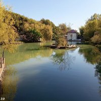 Адлер. Дендропарк "Южные культуры" :: Нина Бутко