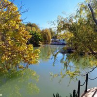 Адлер. Дендропарк "Южные культуры" :: Нина Бутко Адлер. Дендропарк "Южные культуры" :: Нина Бутко