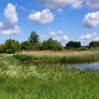 Б/Н :: Николай 