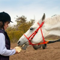 Благодарность и  радость :: Римма Волченко