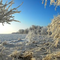 Декабрь. :: Владимир 