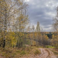 Палитра октября... :: Владимир Жданов Палитра октября... :: Владимир Жданов