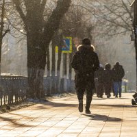 На встречу солнцу. :: Анатолий. Chesnavik. На встречу солнцу. :: Анатолий. Chesnavik.