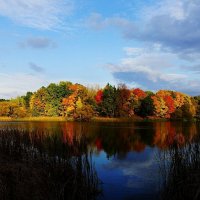 ...солнечный октябрь... :: Александр Герасенков