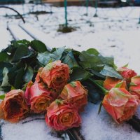 Почти песня :: Артём 