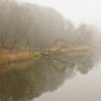 последние осенние....(туманы..) :: Александр Герасенков
