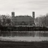 Вид на Гатчинский дворец :: Наталья 