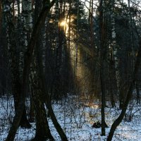 Солнца луч :: Dar(k) Life Солнца луч :: Dar(k) Life