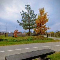 Уголок зоны спорта и отдыха Äkkeküla (Ореховая горка) :: Veera V Уголок зоны спорта и отдыха Äkkeküla (Ореховая горка) :: Veera V