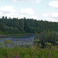 Подчерем. :: ВикТор Быстров