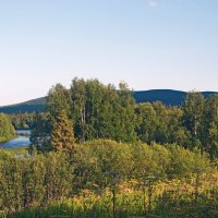 В лучах вечернего солнца. :: ВикТор Быстров В лучах вечернего солнца. :: ВикТор Быстров