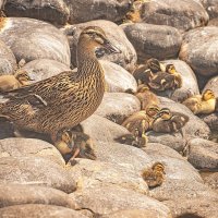 Тихий час в детском саду :: Svetlana Galvez Тихий час в детском саду :: Svetlana Galvez