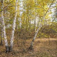 ... :: Валерий 